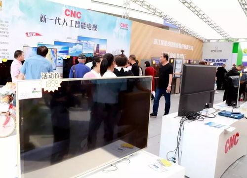 2019臺州商務 嘉年華系列活動亮點紛呈