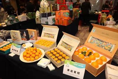 人氣爆棚！“臺九鮮”高調亮相農博會 臺州