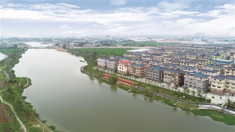 生態引領，勾畫宜居美城新都心